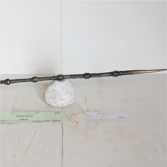 SAMBUCO (ALBIUS SILENTE)